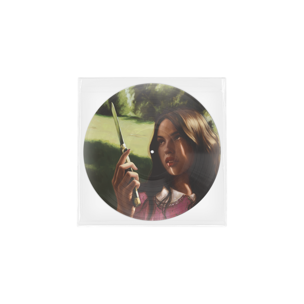 you seem pretty sad for a girl so in love - vinilo exclusivo 'carve our names' picture disc